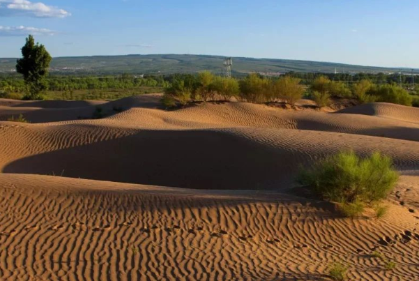 世界上第一个被消灭的沙漠:毛乌素，绿植93%(塞上绿洲)240 / 作者:UFO爱好者 / 帖子ID:90876