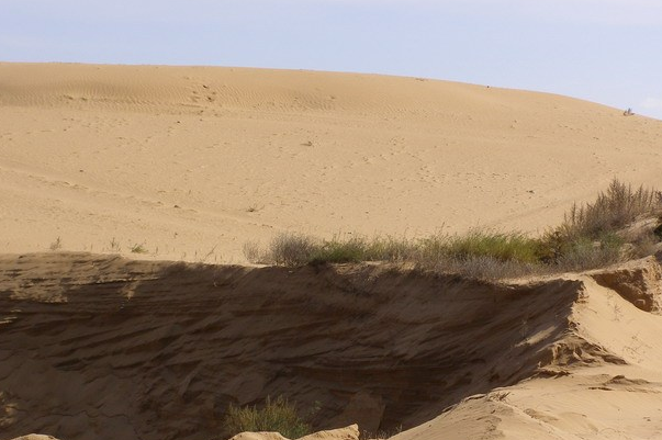 世界上第一个被消灭的沙漠:毛乌素，绿植93%(塞上绿洲)602 / 作者:UFO爱好者 / 帖子ID:90876