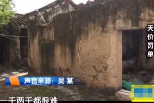 海南捡了珊瑚被罚款:罚款24万，总共13吨(售卖珊瑚违法)218 / 作者:UFO爱好者 / 帖子ID:79016