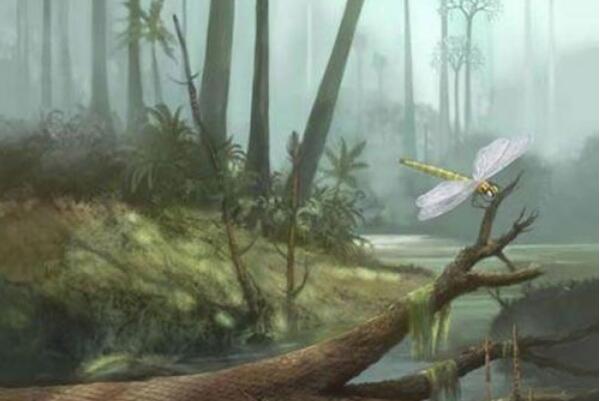 远古最大的蜻蜓:巨脉蜻蜓，翼展0.75米(主食两栖动物)395 / 作者:UFO爱好者 / 帖子ID:90833