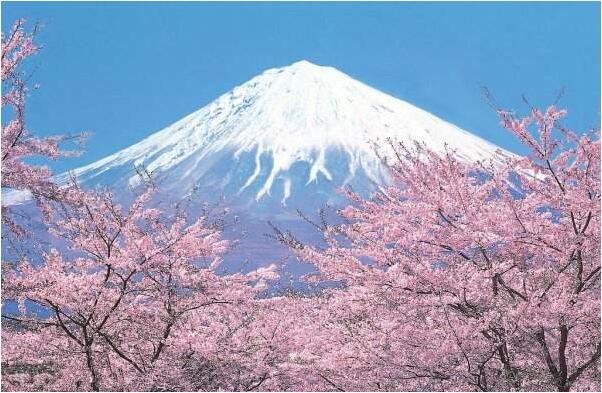 日本最美的自然风光:白谷云水峡动漫取景地，野竹林绝美661 / 作者:UFO爱好者 / 帖子ID:78091