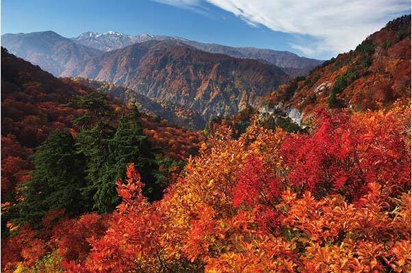日本三大灵山:富士山第一，立山浓郁硫磺味(白山是火山)346 / 作者:UFO爱好者 / 帖子ID:77975
