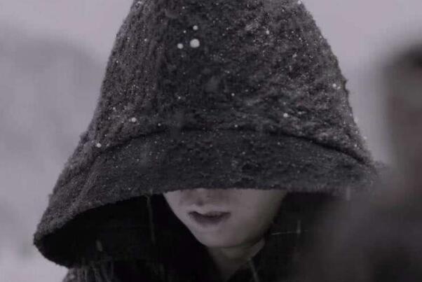 庆余年四大宗师:四顾剑白痴逆袭宗师，庆帝四大宗师之首878 / 作者:UFO爱好者 / 帖子ID:77927