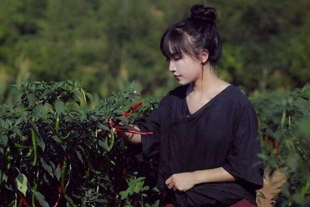 中国第一网红李子柒:短视频创作者，多才多艺(非遗大使)147 / 作者:UFO爱好者 / 帖子ID:77363