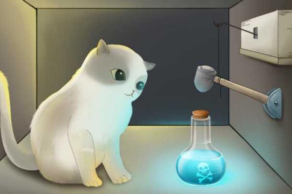 薛定谔的猫比喻什么?薛定谔的猫通俗解释，事物不确定性555 / 作者:UFO爱好者 / 帖子ID:71751