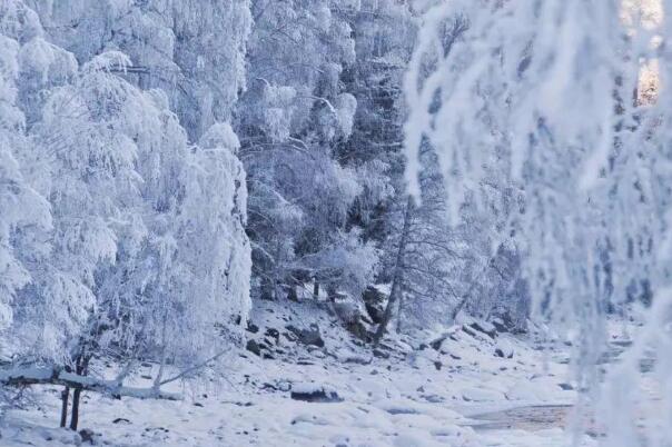 “王炸级”寒潮又发威:威海积雪20厘米，广东最低温-5℃97 / 作者:UFO爱好者 / 帖子ID:76234