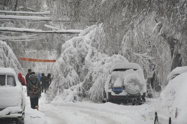 如何应对雪灾?建立草料库，时刻关注气候预警(机械除雪)19 / 作者:UFO爱好者 / 帖子ID:76235
