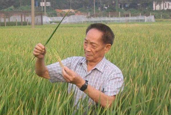 袁隆平抖音号真假风波:注册公司称账号将留用，账号无授权797 / 作者:UFO爱好者 / 帖子ID:75782
