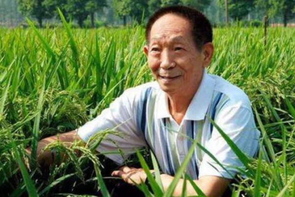 抖音回应袁隆平账号已注销:认证方面存在纰漏，账号待处理841 / 作者:UFO爱好者 / 帖子ID:75771