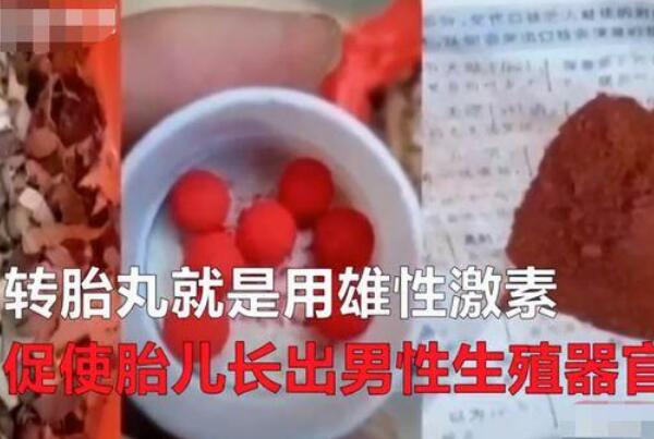 喝下“转胎药”患病:喝转胎药患多囊卵巢综合症，生阴阳人564 / 作者:UFO爱好者 / 帖子ID:75656