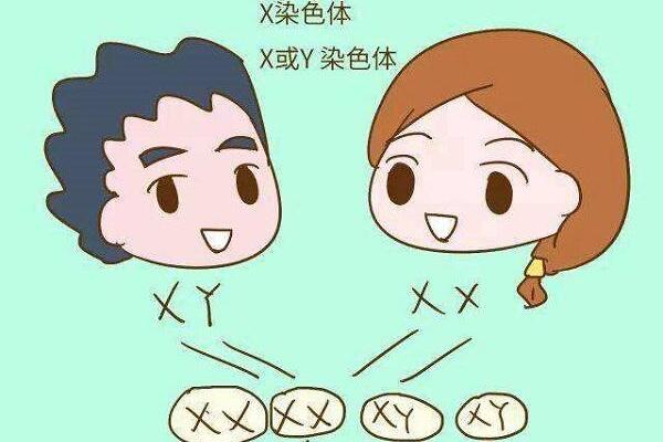 卖“转胎药”的神秘师傅:江湖骗子，故弄玄虚(欺骗消费者)633 / 作者:UFO爱好者 / 帖子ID:75768