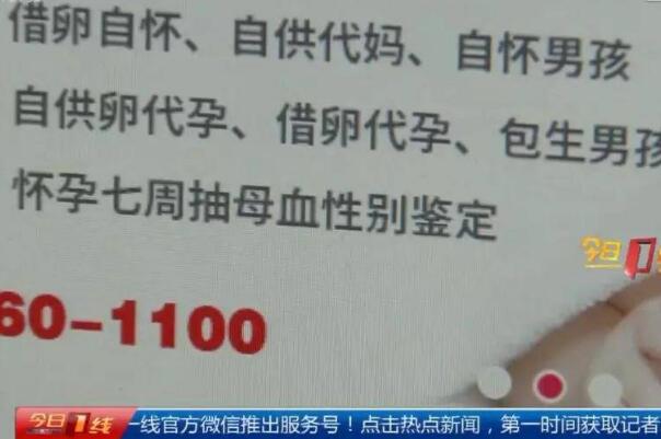 代孕的医疗事故:连打70多针，宫外孕流产切子宫(重则死亡)870 / 作者:UFO爱好者 / 帖子ID:75077
