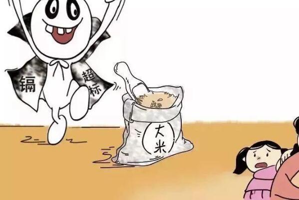 毒大米成香饽饽?每天运几十吨，每吨3600元(利润几十万元)149 / 作者:UFO爱好者 / 帖子ID:74229