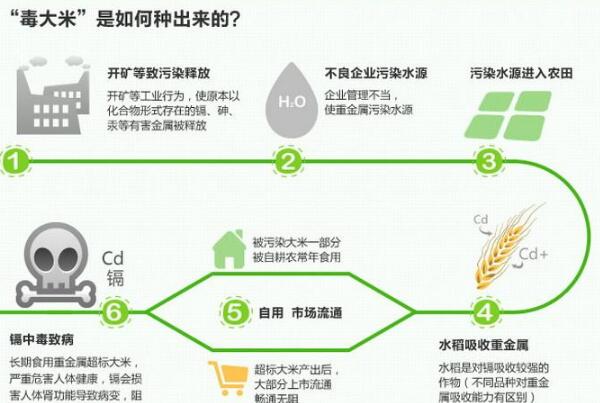 毒大米利益链条令人惊讶:借酒厂“洗白”，多方人员打掩护342 / 作者:UFO爱好者 / 帖子ID:74227