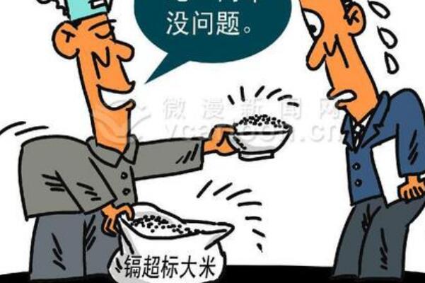 不得不种毒大米，耕地污染重灾区:政策性收购，每年1亿元57 / 作者:UFO爱好者 / 帖子ID:74118
