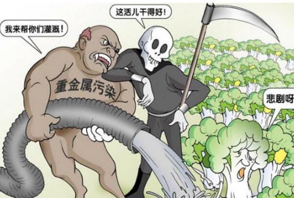 预防毒大米，从源头做起:土地大面积污染，污染修复开始649 / 作者:UFO爱好者 / 帖子ID:74117