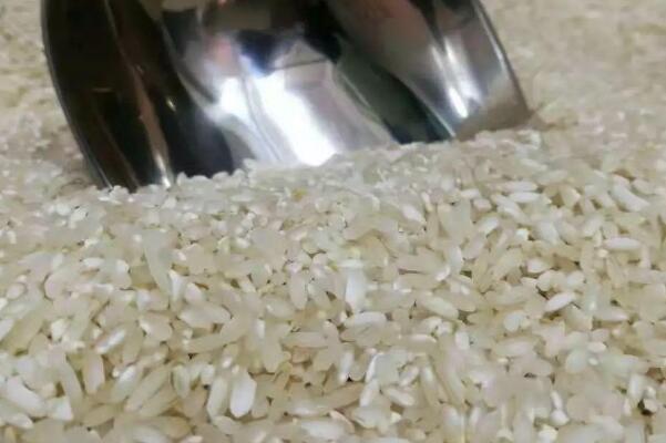预防毒大米，从源头做起:土地大面积污染，污染修复开始886 / 作者:UFO爱好者 / 帖子ID:74117