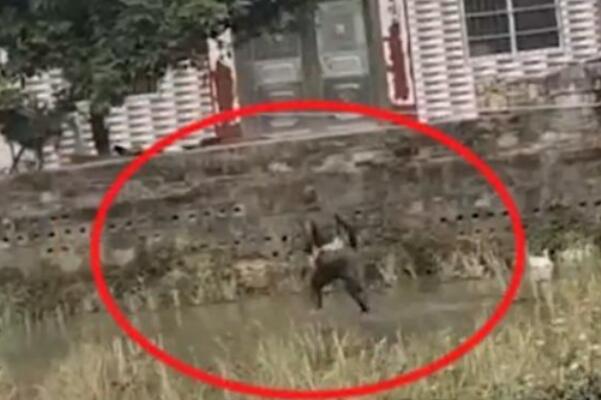 网络直播“乱象”:为了流量不择手段，内容不堪入目632 / 作者:UFO爱好者 / 帖子ID:74234