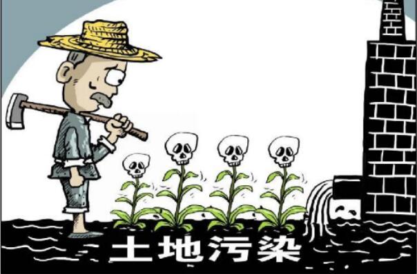 明知是毒大米,买卖却轻而易举:镉含量超标90%，损伤肾脏363 / 作者:UFO爱好者 / 帖子ID:74351