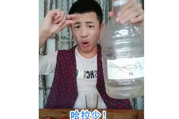 小鸟伏特加是什么意思，它是怎么火起来的（网络用语）603 / 作者:UFO爱好者 / 帖子ID:78589