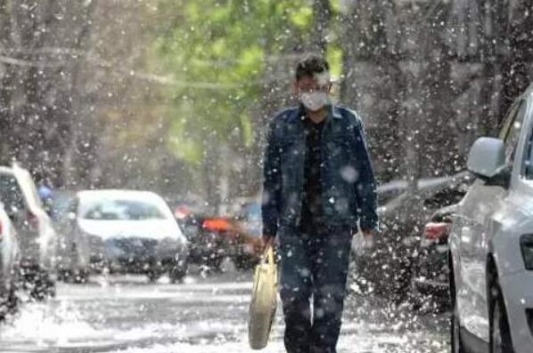 为什么南方不下雪 主要是受温度和西风带天气系统的影响649 / 作者:UFO爱好者 / 帖子ID:71928