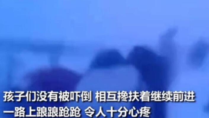 俄小学生为什么在零下50度顶暴风雪回家?不停课吗?408 / 作者:UFO爱好者 / 帖子ID:100708