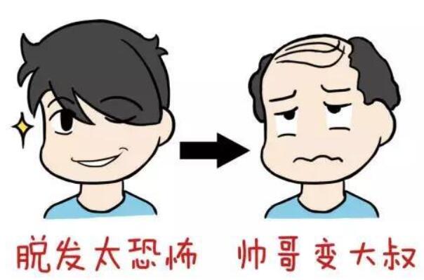 油脂性脱发怎么办 学会这四招保证脱发再也不会纠缠你500 / 作者:UFO爱好者 / 帖子ID:76233