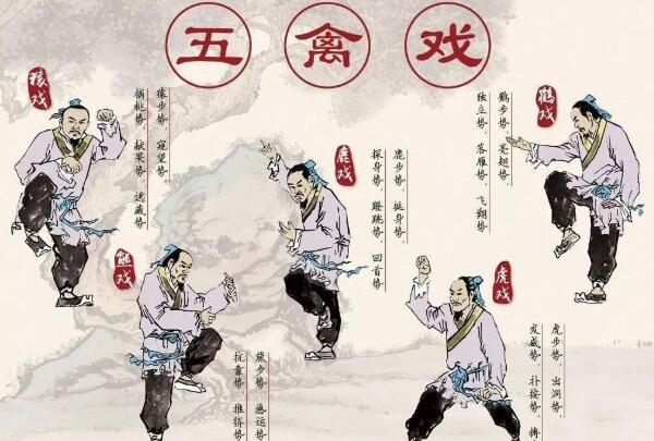 华佗五禽戏是哪五禽 通过模仿虎鹿熊猿鸟的动作可以养生443 / 作者:UFO爱好者 / 帖子ID:76012