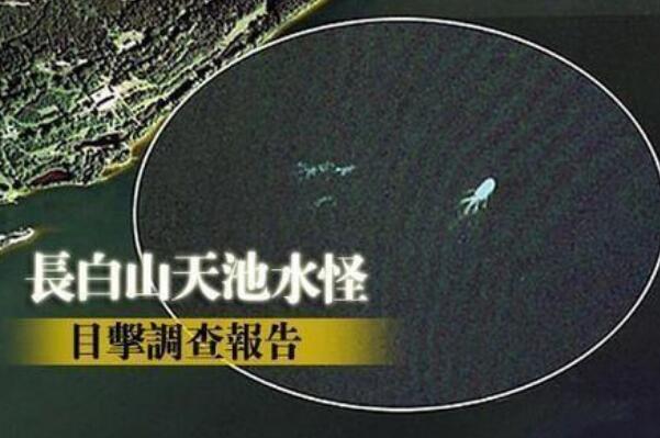 长白山天池到底有没有水怪 水怪或为翻车鱼（由日本海进入）739 / 作者:UFO爱好者 / 帖子ID:99550