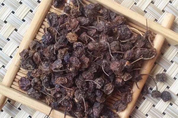 龙葵子的功效和药用价值 常用于治疗扁桃体炎(煎汤含漱吐出)528 / 作者:UFO爱好者 / 帖子ID:70671