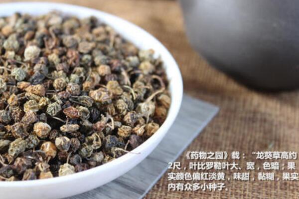 龙葵子的功效和药用价值 常用于治疗扁桃体炎(煎汤含漱吐出)407 / 作者:UFO爱好者 / 帖子ID:70671