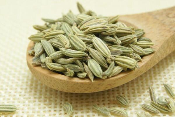 茴香籽的功效和药用价值 提味增鲜补充营养(常用于肉类烹饪)479 / 作者:UFO爱好者 / 帖子ID:70672