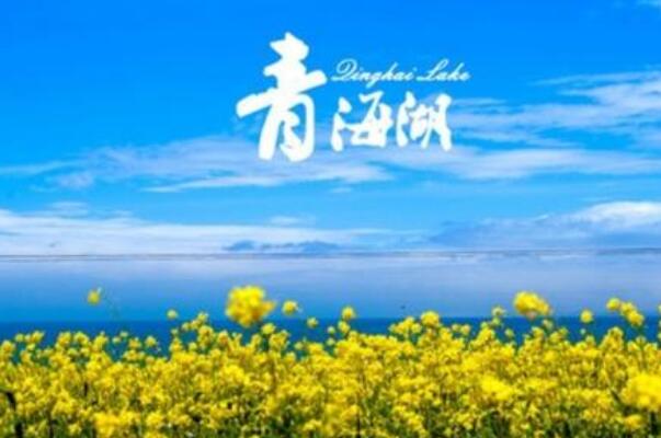 中国最大的咸水湖 青海省青海湖是最大咸水湖(七八月份最美)277 / 作者:UFO爱好者 / 帖子ID:89781