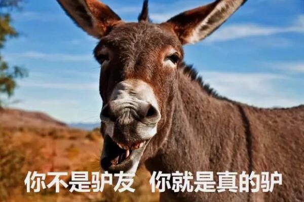 复旦十八驴事件：付出生命却救出“白眼狼”(学历和人性无关)443 / 作者:UFO爱好者 / 帖子ID:67240