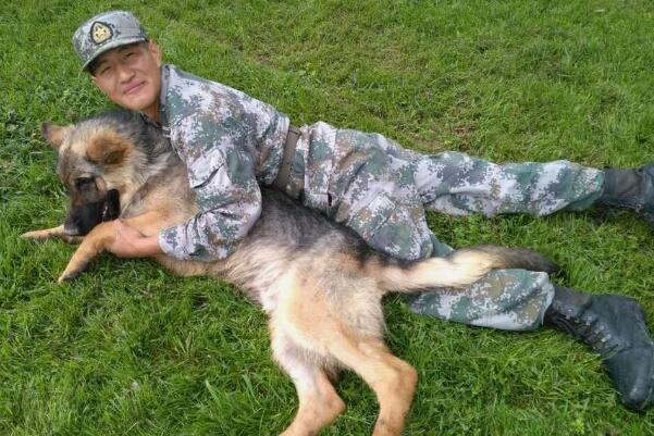 军犬是怎么训练出来的：四种训练军犬的方式(保证令行禁止)214 / 作者:UFO爱好者 / 帖子ID:67934