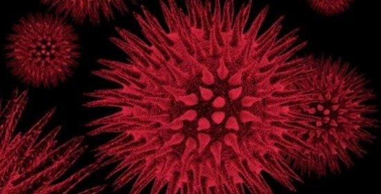 生物学史上九大首创发现669 / 作者:UFO爱好者 / 帖子ID:86041