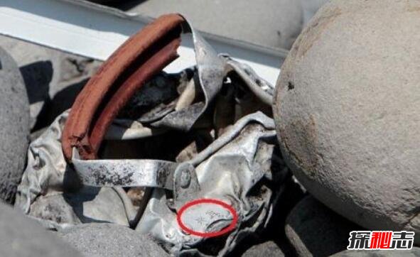 马航mh370失联真相曝光，中情局特工致使机毁人亡594 / 作者:UFO爱好者 / 帖子ID:101013