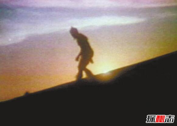 蒙古野人阿尔马斯之谜，介于人和猿之间的奇怪种群188 / 作者:UFO爱好者 / 帖子ID:99281