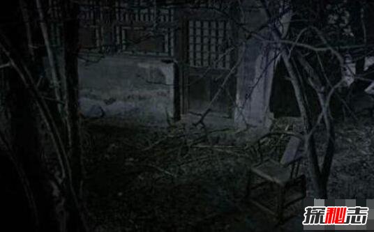 揭秘秦岭神秘事件真相，神秘机构925基地曝光49 / 作者:UFO爱好者 / 帖子ID:99197
