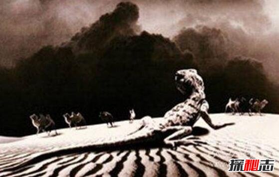 1978年罗布泊食人蜥蜴事件，罗布泊核爆炸死千条巨蜥722 / 作者:UFO爱好者 / 帖子ID:99145