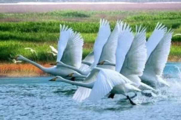 中国最大的淡水湖:鄱阳湖，约4070平方千米192 / 作者:UFO爱好者 / 帖子ID:89351