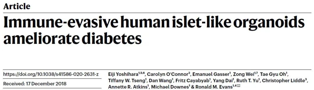 科学家研制首个“屏蔽”免疫的人胰岛类器官70 / 作者:UFO爱好者 / 帖子ID:77771