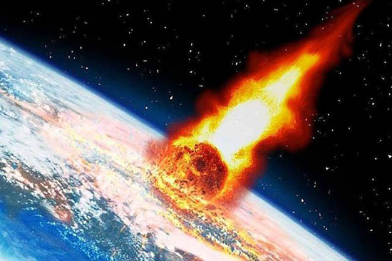 蜜蜂灭绝或引发多米诺效应导致第六次大灭绝578 / 作者:UFO爱好者 / 帖子ID:73934