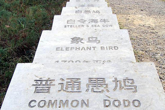 蜜蜂灭绝或引发多米诺效应导致第六次大灭绝19 / 作者:UFO爱好者 / 帖子ID:73934