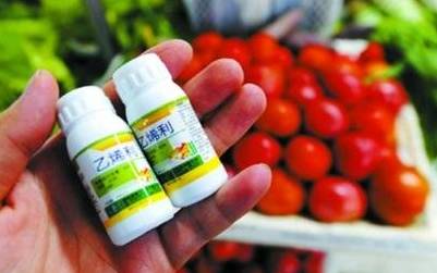 化学催熟的水果有害吗？专家教你辨别化学催熟、药水浸泡的水果809 / 作者:UFO爱好者 / 帖子ID:69080