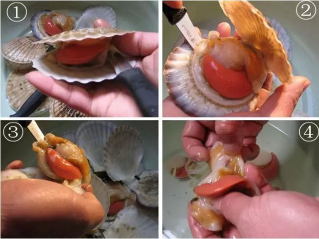 怎么吃海鲜才正宗？皮皮虾、大虾、海蟹、扇贝、海蛎子正确吃法393 / 作者:UFO爱好者 / 帖子ID:69088
