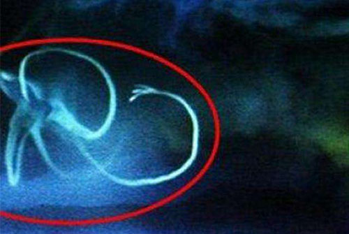 UFO记录片称：发现袖珍外星人确凿证据(图)741 / 作者:UFO爱好者 / 帖子ID:69116