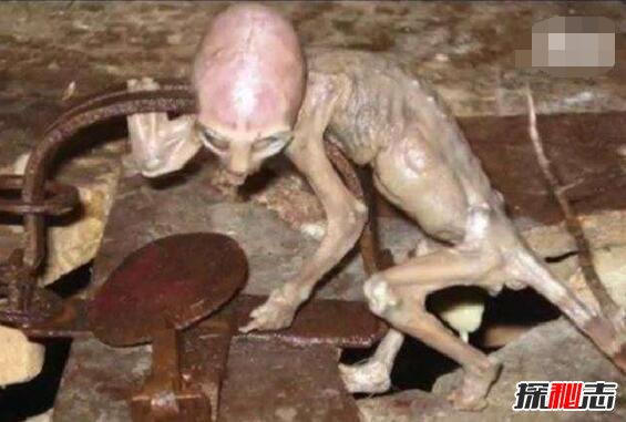 中国的长城是外星人帮助健造的吗，不是(跟外星人无关)156 / 作者:UFO爱好者 / 帖子ID:99260