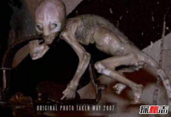 2007年墨西哥外星人宝宝事件，外星婴儿实则被改造的猴子829 / 作者:UFO爱好者 / 帖子ID:99203