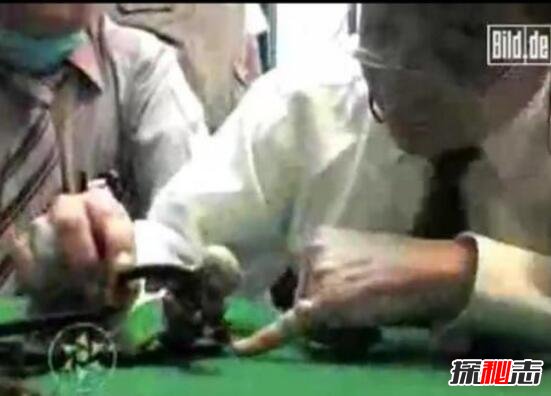 2007年墨西哥外星人宝宝事件，外星婴儿实则被改造的猴子782 / 作者:UFO爱好者 / 帖子ID:99203